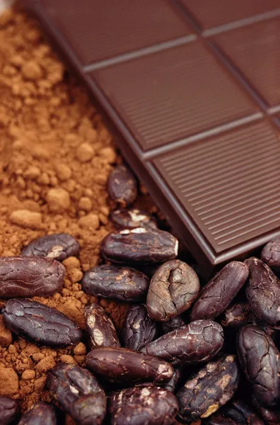 Bar of chocolate, cocoa beans , powder — Stock Photo, Image