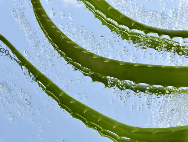 Aloe dan kristal hijau garam laut — Stok Foto