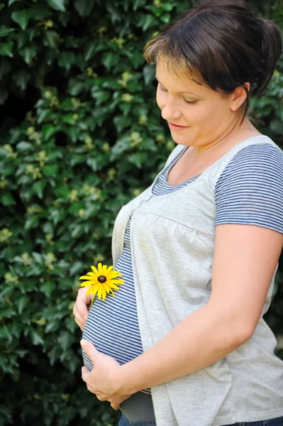 Mulher grávida segurando flor amarela — Fotografia de Stock