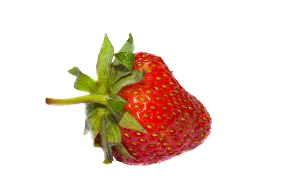 stock image Strawberry on white isolated