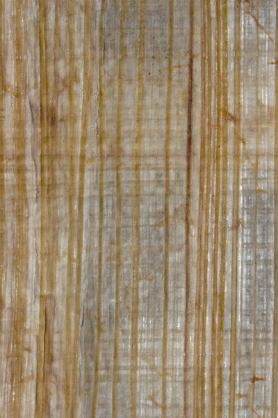 Old papyrus macro texture — Stock Photo, Image