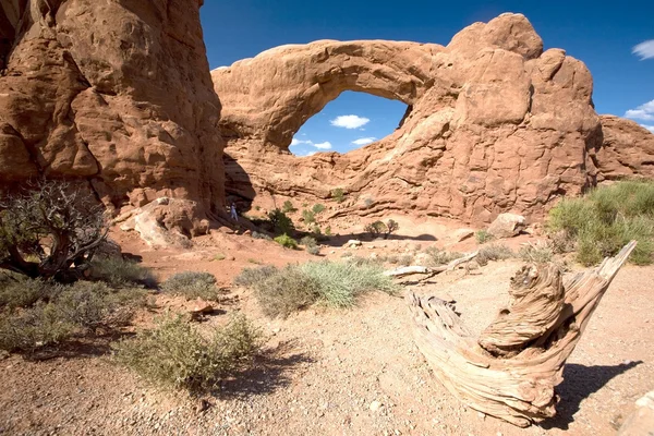 stock image Arches in Arches National Park