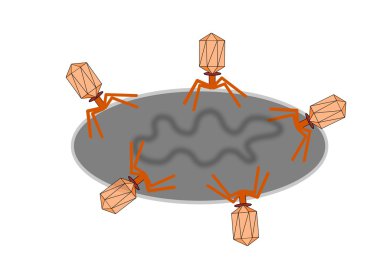 Bacteriophages attacking bacteria cell clipart