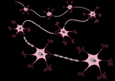 Neurons clipart