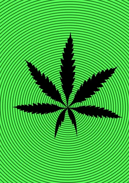 Marihuana (cáñamo, cannabis ) — Foto de Stock