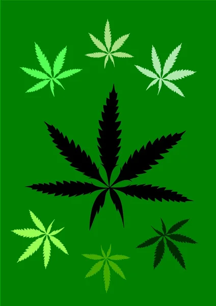 Marihuana (konopí, konopí) — Stock fotografie