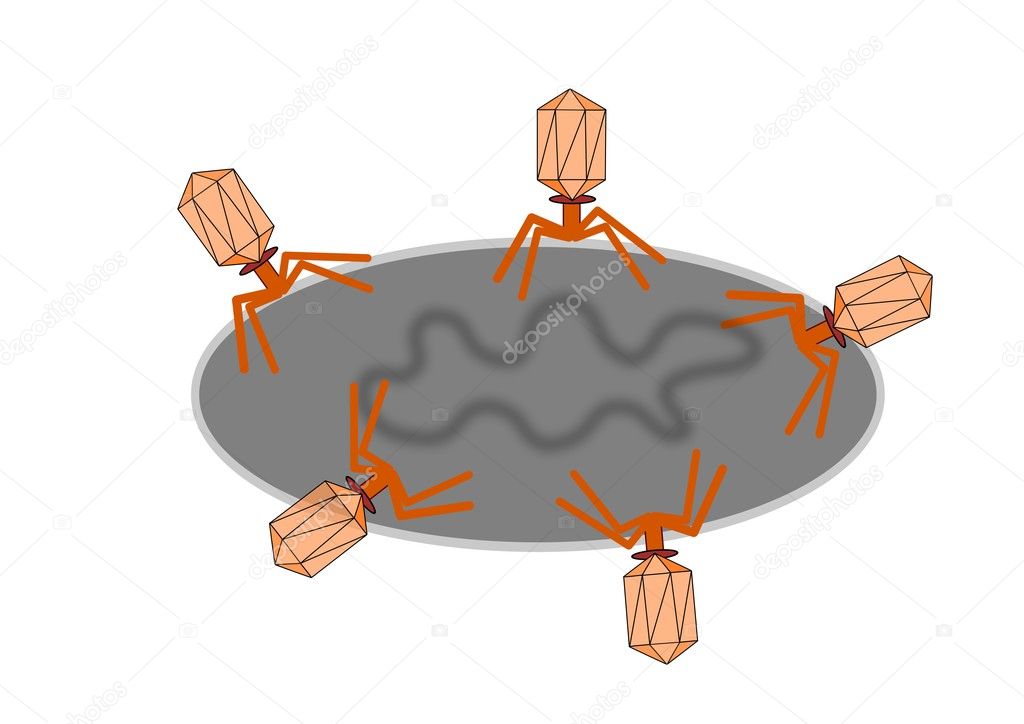 Bacteriophages attacking bacteria cell