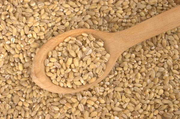 皮をむいた大麦 (ひき割り) — ストック写真