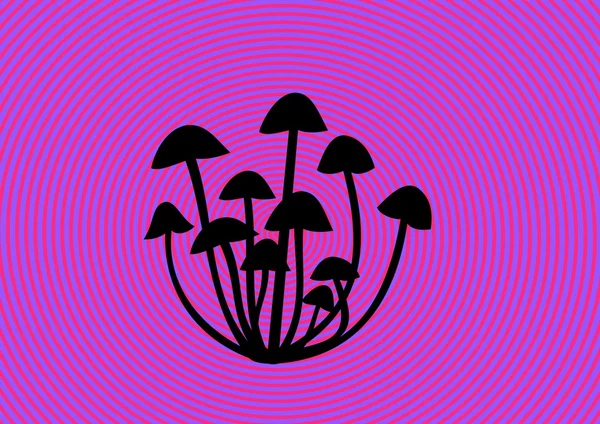 神奇的蘑菇 — 图库照片