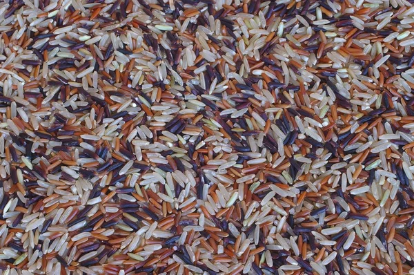 Renkli pirinç — Stok fotoğraf
