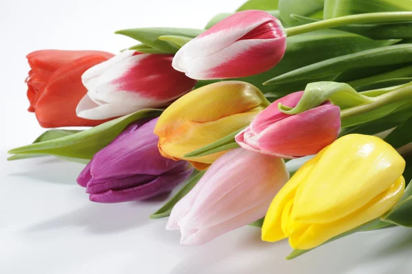 Tulipani di mazzo a Pasqua — Foto Stock