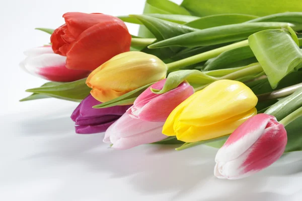 Tulipán virágcsokor — Stock Fotó