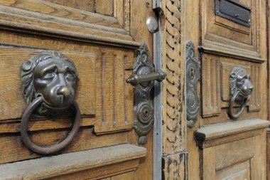 Lion head on wooden door clipart