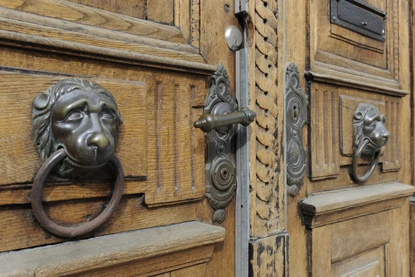 stock image Lion head on wooden door