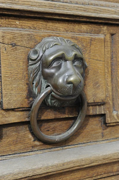 Lion head on wooden door — Stock Photo, Image
