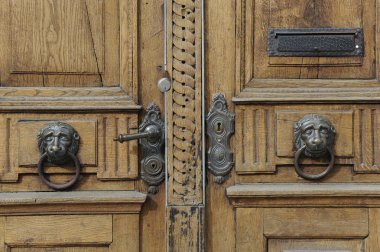 Lion head on wooden door clipart