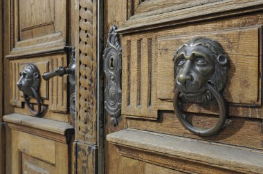 Lion head on wooden door clipart