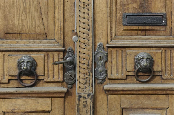 Stock image Lion head on wooden door