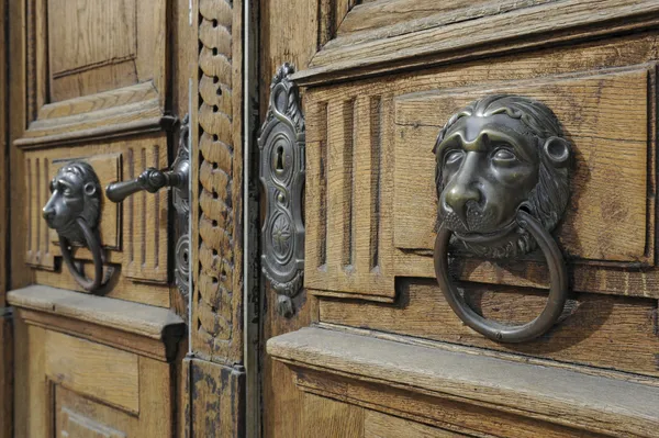 stock image Lion head on wooden door