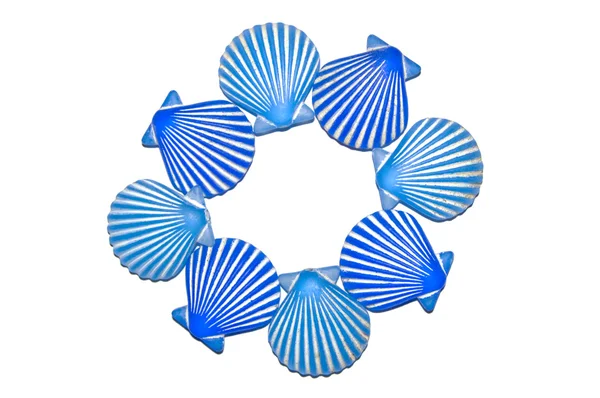 Kék kagyló héj kör mintát — Stock Fotó