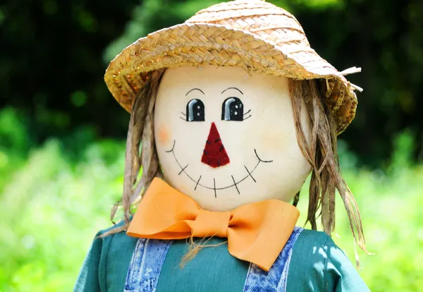 Smiling fall scarecrow face — Stock Photo, Image