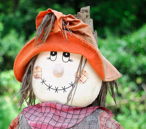 Smiling fall scarecrow face — Stock Photo, Image