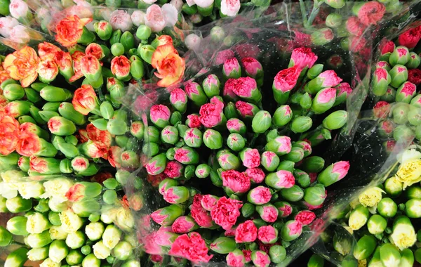 Trossen van rozen — Stockfoto