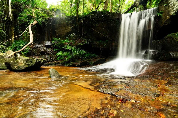 stock image Waterfall