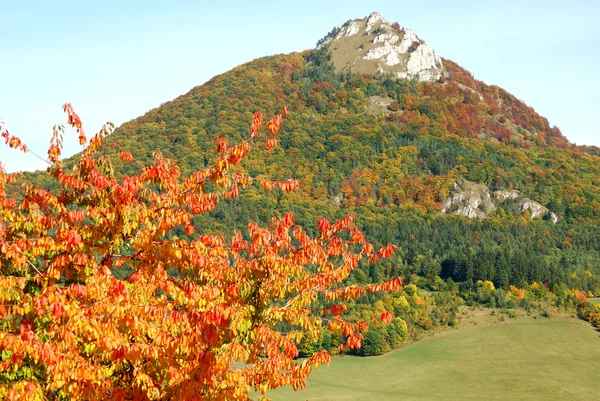Осенняя нарюра — стоковое фото
