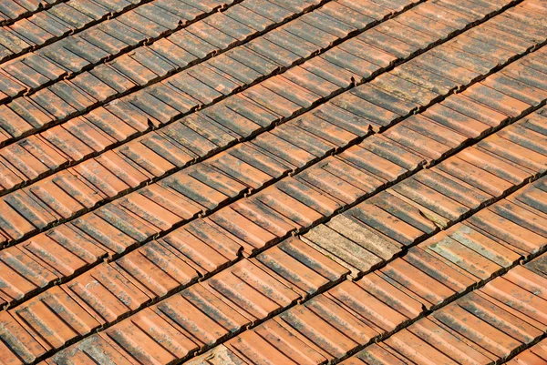 stock image Roof