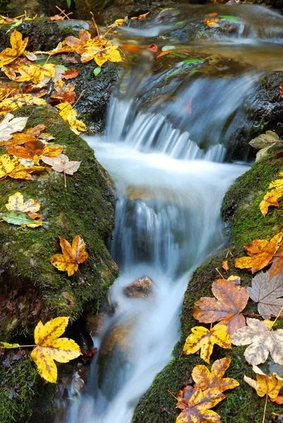Beautiful autumn waterfall — Stock Photo, Image
