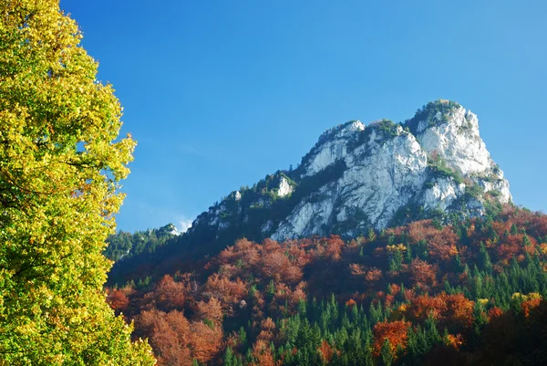 秋の夏の丘の景色 — ストック写真