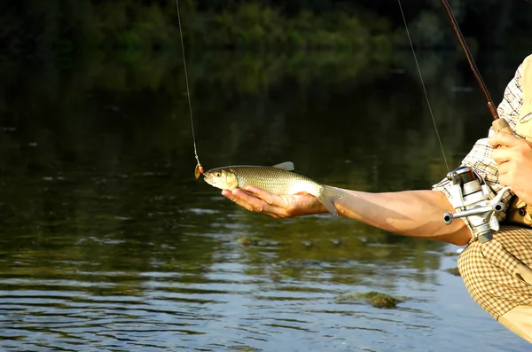 O pescador apanhou um peixe. — Fotografia de Stock