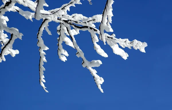 Paisaje invierno blanco — Foto de Stock