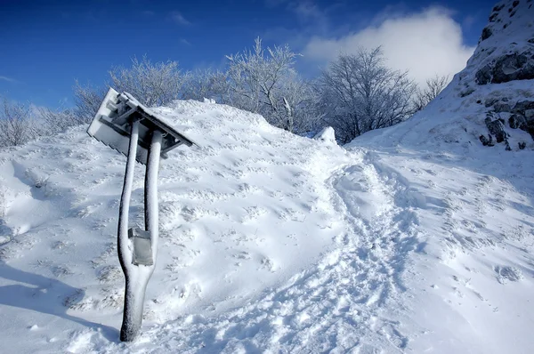 Белый зимний пейзаж — стоковое фото