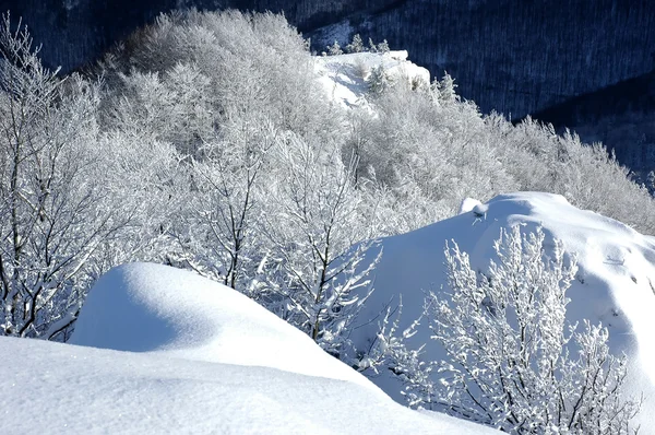 白色冬天风景 — 图库照片