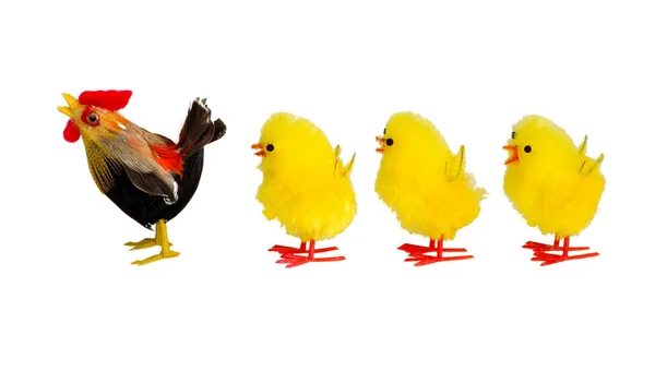 Kyckling och tre chicklings Royaltyfria Stockfoton