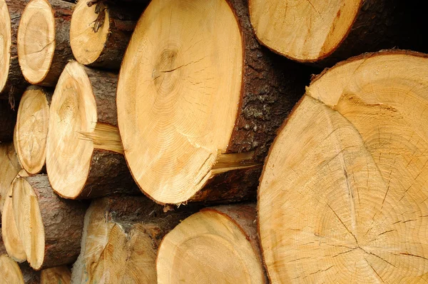 Negozi di legno — Foto Stock