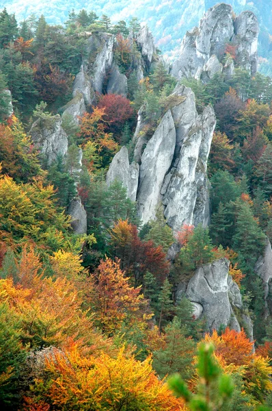 Höstens kullen landskap Stockfoto