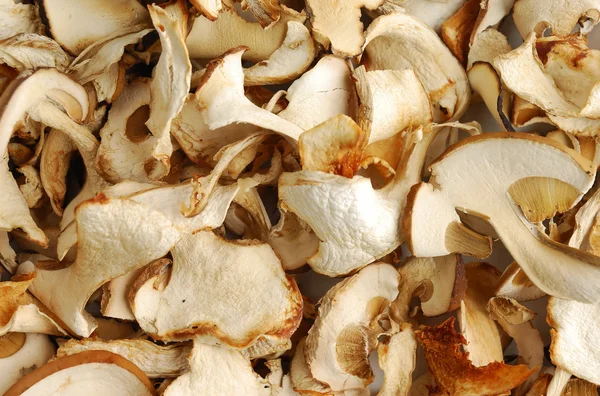 Сухие грибы — стоковое фото