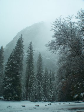 Yosemite Parkı sis içinde.