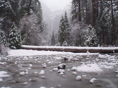 Yosemite park under snow clipart