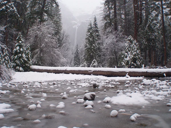 Yosemite Parkı kar altında