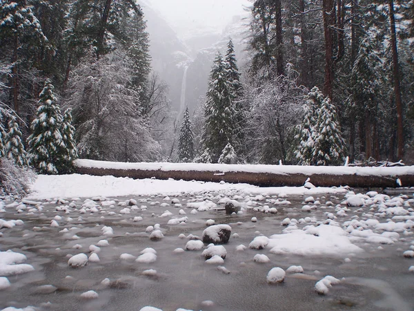 雪下的优胜美地公园 图库图片