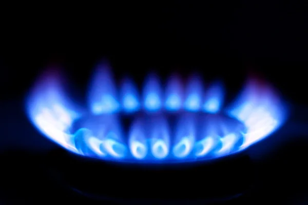 Flames of gas stove — Stok fotoğraf