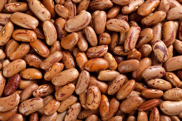 stock image Beans background