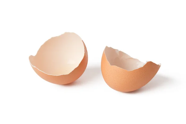 stock image Egg shell