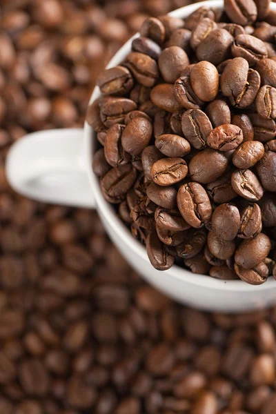 Coffee beans with white cup — Stock Photo, Image