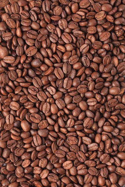 Achtergrond koffiebonen — Stockfoto