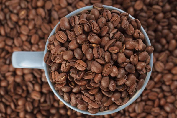 Кофейные зерна и чашка кофе — стоковое фото
